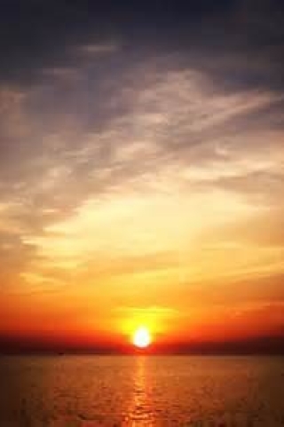 th[8] (2)